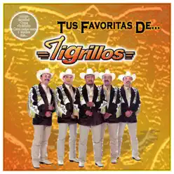 Tus Favorita De...: Tigrillos - Los tigrillos Tus Favorita De...: Tigrillos - Los tigrillos