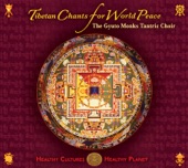 Tibetan Chants for World Peace artwork