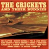 The Crickets and Their Buddies, 2004