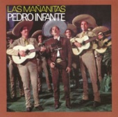 Pedro Infante - Las Golondrinas