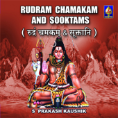 Rudram Chamakam And Sooktams - S Prakash Kaushik