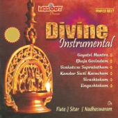 Divine Instrumental artwork