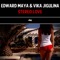 Stereo Love (Radio Edit) artwork