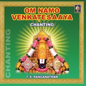 Om Namo Venkatesaya Chanting artwork