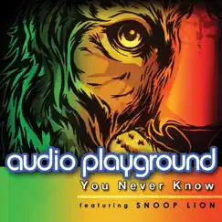 You Never Know [feat. Snoop Lion] [Pop Rock Mix] Song Lyrics