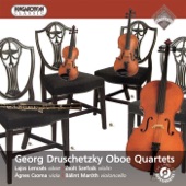 Oboe Quartet in F Major (F-dúr oboanégyes): I. Adagio. Allegro assai artwork