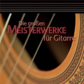 Guitar Concerto in A Major, Op. 30: Allegro maestoso artwork
