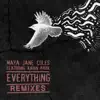 Everything (feat. Karin Park) - Single album lyrics, reviews, download