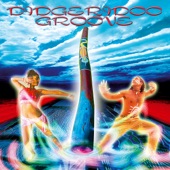Didgeridoo Groove (From the Music Mosaic Collection of Compilations) artwork