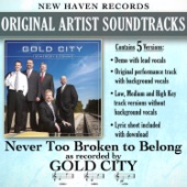 Never Too Broken to Belong (Medium Key Without Background Vocals) artwork