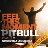 Feel This Moment (Remixes) [feat. Christina Aguilera] - EP, 2013