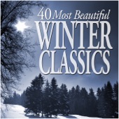 Le quattro stagioni (The Four Seasons), Violin Concerto in F Minor, Op. 8, No. 4 RV 297, 'Winter': I. Allegro non molto artwork