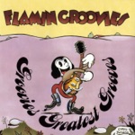 Flamin' Groovies - Teenage Confidential