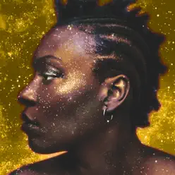 Questions from a Seeker - EP - Meshell Ndegeocello