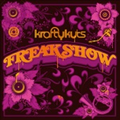 Krafty Kuts - Bring Back the Funk