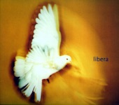 Libera artwork