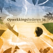 Opwekkingsliederen 34 artwork