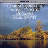 Quintet for Clarinet, Two Violins, Viola and Cello in B minor, Op. 115: II. Adagio artwork