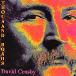 A Thousand Roads - David Crosby