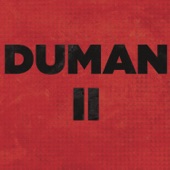 Duman II artwork