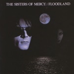 The Sisters of Mercy - Never Land (A Fragment)
