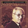 Cantece de Odinioara