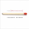 The Notorious Cherry Bombs, 2004