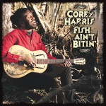 Corey Harris - 5-0 Blues