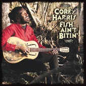 Corey Harris - Moosemilk Blues
