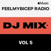 FeelMyBicep Radio, Vol. 5 (DJ Mix) artwork