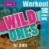 Wild Ones (Dynamix Extended Workout Mix) song lyrics