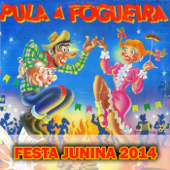 Festa Junina 2014 (Pula a Fogueira) - Various Artists