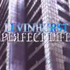 Perfect Life album lyrics, reviews, download