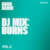 Gaga Radio: BURNS, Vol. 2 (DJ Mix) album lyrics, reviews, download