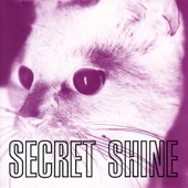 Secret Shine - Into the Ether