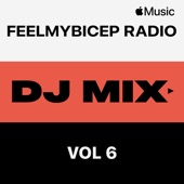 FeelMyBicep Radio, Vol. 6 (DJ Mix) artwork