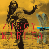 Dragonfly - Ziggy Marley