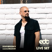 Dombresky at EDC Las Vegas 2021: Cosmic Meadow Stage (DJ Mix) artwork