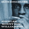 John Lee 'Sonny Boy' Williamson - Jackson Blues