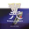 Wings In the Dawn album lyrics, reviews, download