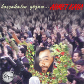 Siz Yanmayın - Ahmet Kaya
