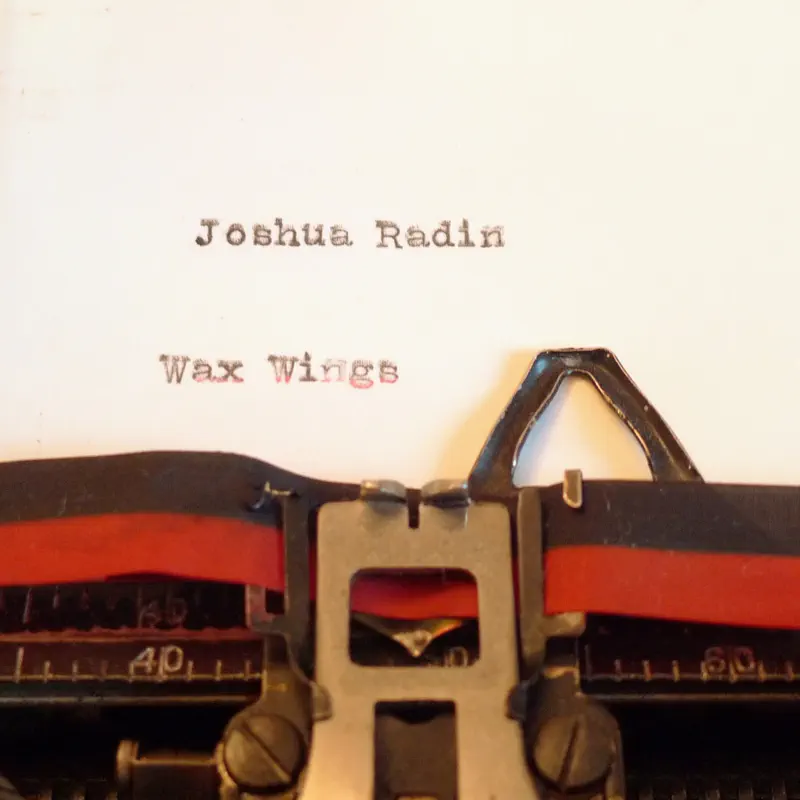 Joshua Radin - Wax Wings (2013) [iTunes Plus AAC M4A]-新房子