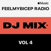 FeelMyBicep Radio, Vol. 4 (DJ Mix) artwork