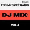 FeelMyBicep Radio, Vol. 4 (DJ Mix) album lyrics, reviews, download