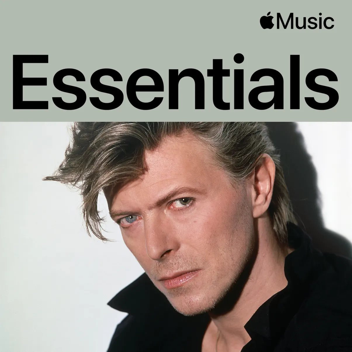 David Bowie - 音乐合集 [iTunes Plus AAC M4A]-新房子
