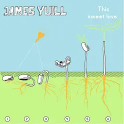 This Sweet Love - EP - James Yuill