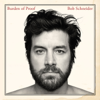 Bob Schneider - Wish the Wind Would Blow Me  artwork