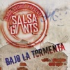 Bajo la Tormenta - Single