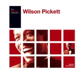 Wilson Pickett - Hey Jude (Remastered Single Version)
