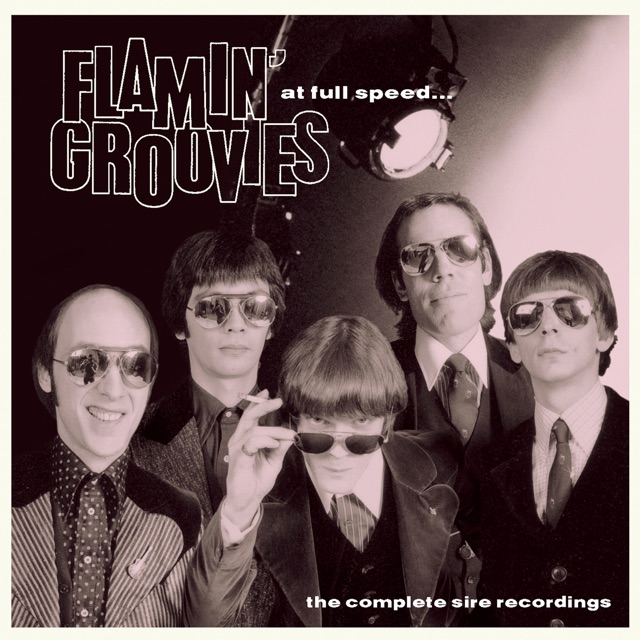 Flamin' Groovies: Next Steps